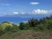 Punaauia 98718 Achat / Vente terrain