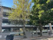 Punta chica, amplio 2 ambientes c/vestidor, balcon...