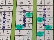 Punta Verde Vacant 250 sqm Lot For Sale in Brgy Cacutud,...