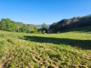 Puybegon Vente Terrain 81