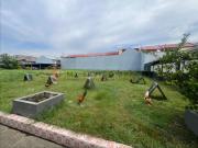 PVT2025 0051 | Residential & Agricultural Lots for Sale...