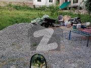 PWD A Block Size 50x90