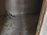 Pyramid Midtown 2 Bedroom 699 Sq. Ft. Apartment in...