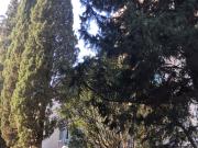 Quadrilocale con terrazzo in via niccolò da tolentino,...