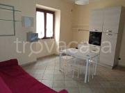 Quadrilocale in affitto a Frosinone via Luigi Angeloni,...