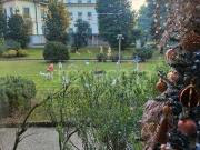 Quadrilocale in affitto a Milano via Arturo Colautti, 1,...