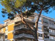 Quadrilocale in affitto a Roma, Vigna Clara Vigna Stelluti