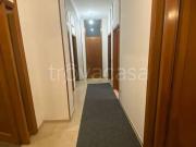 Quadrilocale in affitto a Rovigo viale Trieste, 21