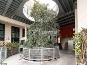 Quadrilocale in vendita a Milano, Turro