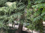 Quadrilocale in vendita a Reggio nell'Emilia via...