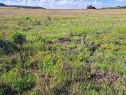 Quaggafontein? Looking for vacant land to develop? Here...