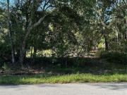 Quail Hollow Blvd, Wesley Chapel, Plot For Sale