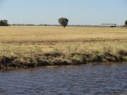 A PRIME AGRICULTURAL OPPORTUNITY 1574Acres*/636.8Ha