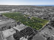 QUARTEIRA Terreno para construção