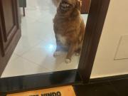 Quarto individual em apartamento no bairro Graça/BH