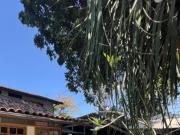 Quarto na Barra da Tijuca Quarto na Barra da Tijuca