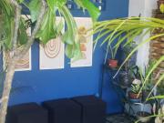 Quartos no Casarão do Rio Vermelho