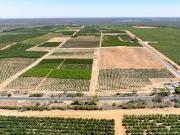 Quast Road Citrus Plantation