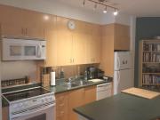 Queen West Toronto Furnished Condo Rental at The...