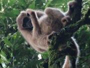 Quer ter uma maravilhosa área rural nas montanhas de...