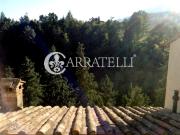 Questo interessante terra tetto di circa 90mq...