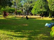 Quick Sale Sacrifice Sale Vacant Lot inside Maia Alta...