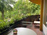 Quiet and cozy loft in Neukölln Berlin, Berlin Amsterdam...