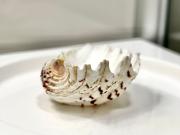 Quiet Beautiful 4 Room Apartment with Garden in...