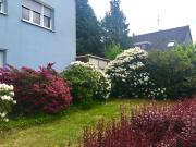 Quiet, comfortable apartment, within walking distance of...