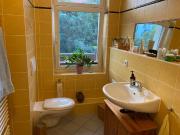 Quiet living & working in the south of Leipzig, Leipzig...