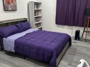 Quiet, professional, dog friendly roommate