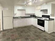 Quiet & Spacious 2 bedroom Basemen Suite utilities + Wifi