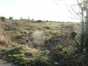 Quinaltagh Garrafrauns Tuam Co Galway