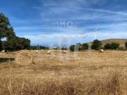 Quinta 7,5ha Porto Covo