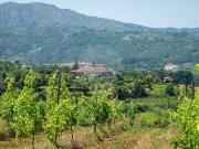 Quinta à venda em Cabeceiras de Basto