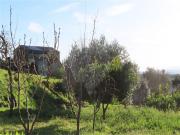 Quinta à venda em Castelo Branco