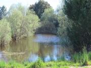 Quinta à venda em Castelo Branco