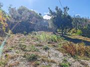 Quinta à venda em Castro Daire