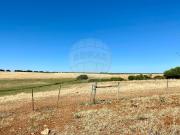 Quinta à venda em Évora