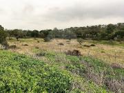 Quinta à venda em Grândola