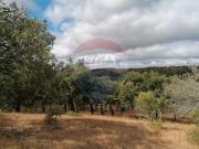 Quinta à venda em Grândola