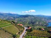 Quinta à venda em Lamego