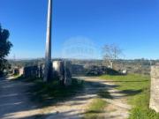 Quinta à venda em Mangualde
