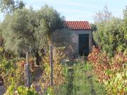 Quinta à venda em Penamacor