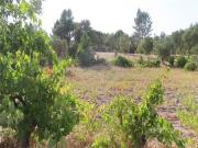 Quinta à venda em Penamacor Quinta à venda em Penamacor