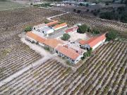 Quinta à venda em Poceirăo