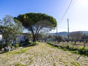 Quinta à venda em Quinta da Chamorra