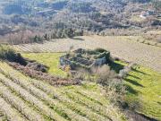 Quinta à venda em Marco de Canaveses