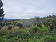 Quinta à venda em Tábua