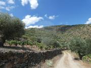 Quinta à venda em Vila Nova de Foz Côa